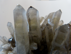 rockon-ro:  QUARTZ (Silicon Dioxide) crystals from Brazil. Variety is smokey quartz.  