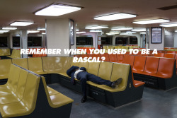 taces:  Remember when you used to be a rascal? (Photo by Mike Schmidt)
