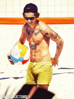 famousmeat:  One Direction’s Harry Styles bulges shirtless