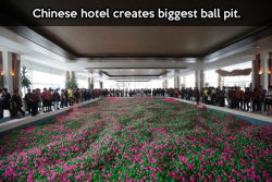 srsfunny:  The biggest ball pit in the world…http://srsfunny.tumblr.com/  I can even express to you how disgusting this thing must get&hellip;