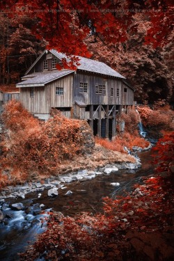 tigertravelguide:  Autumn at The Mill by Nhut Pham