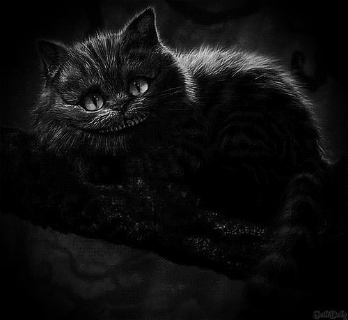 black and white cheshire cat gif | WiffleGif