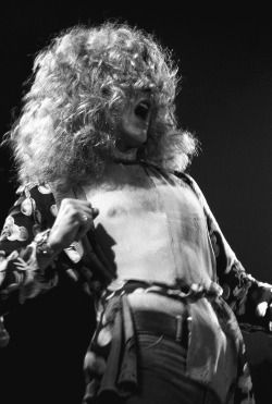 soundsof71:  satya-: Robert Plant   ☾    Robert Plant: still golden in black and white!