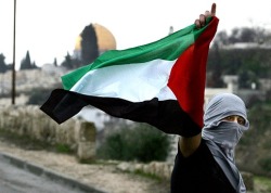 ewok-gia:  Palestinian resistance