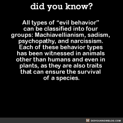 did-you-kno:All types of “evil behavior&quot; can be classified into four groups: Machiavellianism, sadism, psychopathy, and narcissism. Each of these behavior types has been witnessed in animals other than humans and even in plants, as they are also