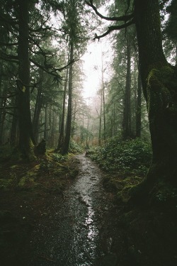 ponderation:Untitled by Nathan Dumlao