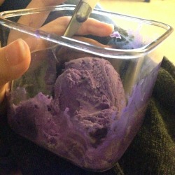 brusts:  notsuperstitious:  brusts:  ube ice cream in a plastic container my sisters aesthetic  what flavor  ube…  aint ube that purple yam thing? what it taste like