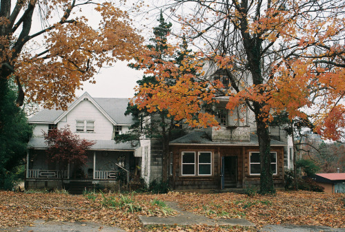 mdmamolly: possibly magical house I see on my walk home everyday by bonniecakes on Flickr. 