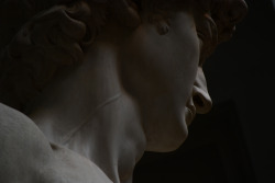 qusarts: Four Meters of Perfection Michelangelo’s David at the School of Belle Arti Museum in Florence, Italy 