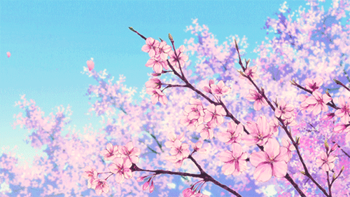 Flower Sakura "Cherry blossom" x Tumblr_mscu7jQ5yF1s6bdkzo1_500
