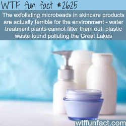 wtf-fun-factss:  Skincare products terrible for the environment - WTF fun facts