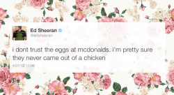 old-ed-sheerin:  if you’re not following ed sheeran you’re seriously missing out 