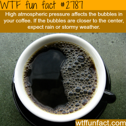 wtf-fun-factss:  How to tell the weather by look at your coffee cup - WTF fun facts
