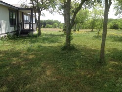 Finally got to start cleaning up on our new to us place we will be moving into soon! The grass was 2 ft tall at least. Spent quite a few hours with a push mower and machete just mowing and cutting weeds and poison ivy. Can&rsquo;t wait to get the keys