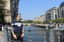 Gpup Alpha enjoying Berlin Folsom&hellip;You can learn more about human pup play here: http://SiriusPup.net http://TheHappyPup.com http://PupSafeProject.org 