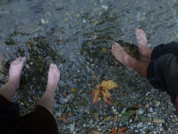 ostealjewelry:  ostealjewelry:  we traveled deep into the forest, along a foggy river. we dipped our feet in the icy water and let the mist roll in  the popularity of this post always makes me smile, good day - good post.