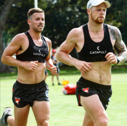 roscoe66:  Sydney Swans at training