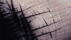officialcrow:  sizvideos:  Ink flowing between the cracks in a human hand Video   this makes me dumb uncomfortable wsup w it  I find this soothing to watch