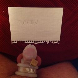 collegecuckold:  Today’s verification picture for emlalock. Seeing how I don’t have a keyholder/mistress it’s as close as I can get :/
