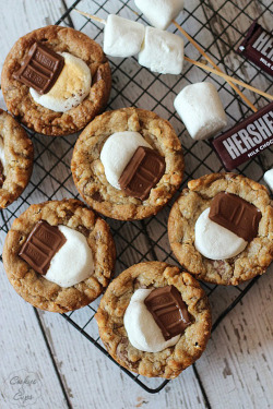 Deep Dish S'mores Cookies on We Heart It. http://weheartit.com/entry/66907150/via/glowinginthedarkness