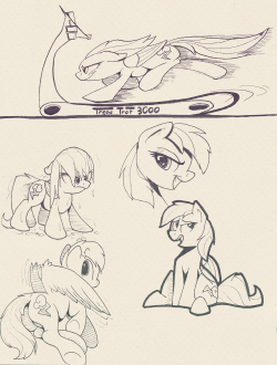 braeburned:  STILL BUSY but felt like i needed to upload something so here’s some dash sketches from Pon3con last month! i never ever draw her so i thought she was due  gaaaah sketches of my most favourite pone made by one of my most favourite artists.