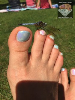 foot-fetish-ladies:  How about a closer look at the dragonfly on my big toe!