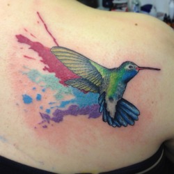 fuckyeahtattoos:  Humming Bird tattoo done at the All Seeing Eye Tattoo Lounge in Bradford, West Yorkshire, UK. Instagram: @steve_wade_tattoo Facebook: http://www.facebook.com/AllSeeingEyeTattoo Website: www.all-seeing-eye.co.uk