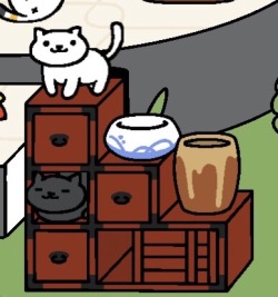 Weiss and Blake on a date in the bureau, thought you’d like to see the monos. And yes I called them Weiss and Blake but shhhomgmouse!ruby: why is weiss on top of that shelf?cat!blake: she likes to be tall