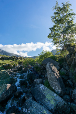 rosesinaglass:  Ogwen by cragproductions. on Flickr.