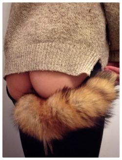 littlekin:  Sweater weather fox. 