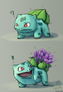 nicknamenyquil:butt-berry:butt-berry:butt-berry:butt-berry:butt-berry:It’s Bulbasaur blooming seasonLots of variety this year!A late bloomer!Water-lily Bulbasaur catching up on the latest gossip at the lakeWow, looks like thing are getting serious between