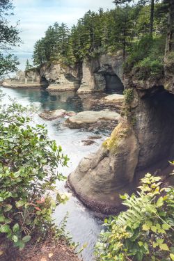 expressions-of-nature:  Rock Caves / Cape Flattery, WA by Victoria Ditkovsky 