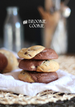 fight-0ff-yourdem0ns:  vvidget:  THE BEST COOKIE RECIPES :D The Brownie Cookie Recipe Chocolate Chunk Cookies Crème Brûlée Cookies Butterscotch Apple Pudding Cookies Deep Dish S’mores Cookies Buckeye Brownie Cookies Caramel Stuffed Truffle Cookies