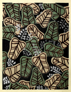 nemfrog:Leafy pattern. Shin bijutsukai. Vol. 8. 1902. 