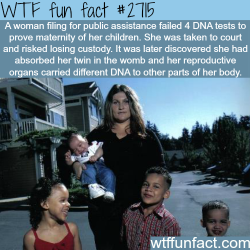 wtf-fun-factss:  Amazing facts about twin’s DNA - WTF fun facts