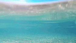 bluewatergirl:  letslivebythesea:  Ocean and Beach Posts  bluewater