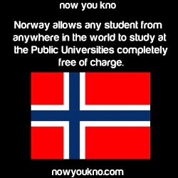 godtricksterloki:  bootypatroll:  nonsinepericulo:  nowyoukno:  Click here for more facts.  As if I didn’t want to go to Norway badly enough!  That’s it I’m heading to Norway  Like I needed another reason for going to Norway.  *packs bags*