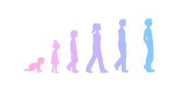almostnormalboy:  I drew the FtM evolution stuff again, in my own way. I think it suits most of us, especially those transitioning as teenagers / young adults. I won’t claim any copyright, anyone can use it (: (just don’t pretend you drew it …) 
