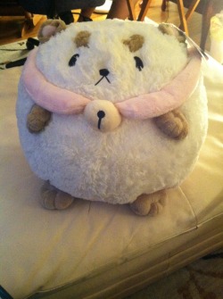 kasoga:  Look who came in the mail today!! He’s so cute and soft! 