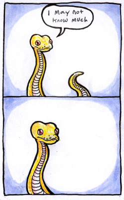 william-snekspeare:  the second panel was originally going to have words but I decided it was better without them  this snake is me lol