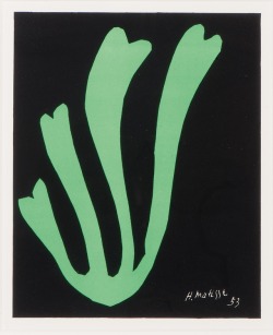 trulyvincent: Henri MatisseAlgue Verte1953Colour lithograph27.6 x 22.8 cm Signed,  Edition of 250