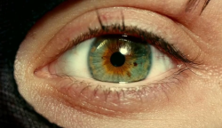 I Origins (2014) dir. Mike Cahill    ‘’You live in this fairy, magical, fantasy land. It’s a fucking lie, and you know it’s a lie.’’  