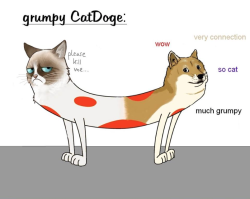 hoganddice:  tiqachu:  hoganddice:  tiqachu:  hoganddice:  No, that’s it.Stop the internet.I think I want to get off now.I think I need to leave.  God is dead.  Grumpy catdoge is your god now.  Please no. I never asked for this.  Yes you did. Every