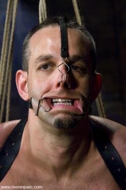 malebondagepigs:  Nosehooks and dental gags are great tool for humiliation.  Male bondage and BDSM images @  Male Pigs in bondage! 