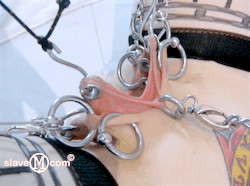 petgirltrainer:  the-real-slavem:  New Labia piercings from the new video of slaveM http://www.clips4sale.com/13628/14009073  🕳️