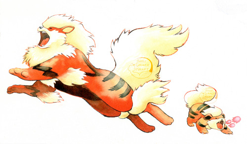 gracekraft:Growlithe and Arcanine for the Johtodex!Ah yes, Arcanine, the legendary pokemon that existed before the category was firmly established. Even as a regular pokemon, there’s still something majestic about his design and the awe surrounding