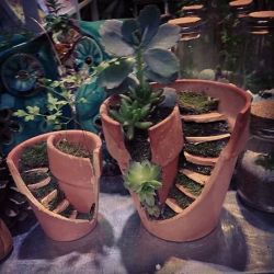 maegalcarwenraven:  Here is what to do with some old, broken terracotta pots! 