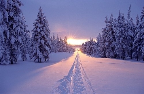Sve što vas asocira na zimu u fotografiji - Page 11 Tumblr_nfyjboXAcC1sbjsfqo1_500