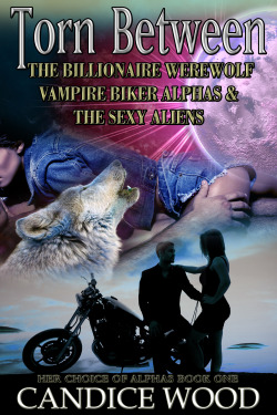 wtfbadromancecovers:  Editor’s note: So first of all, they should have blinged up the werewolf a bit, you know, because he’s a millionaire. He needs a diamond studded collar or something. The vampire biker is fine, I guess, though I don’t know,