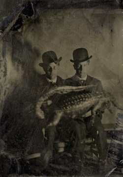 Portrait of Two Men with an Alligator Across Their Laps, USA, 1870s.
